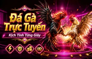 Giao diện sảnh đá gà polskimarketing